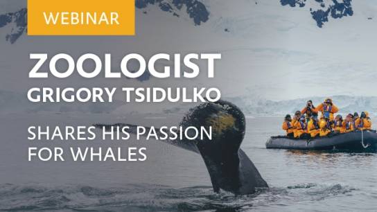 Zoologist Grigory Tsidulko shares his passion for whales