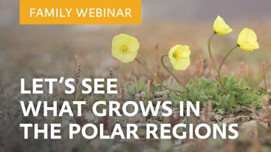 Let’s see what grows in the Polar Regions!