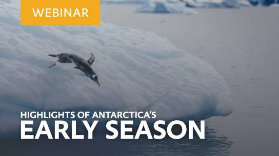 Tune in for our “Antarctic: Early Season Highlights”