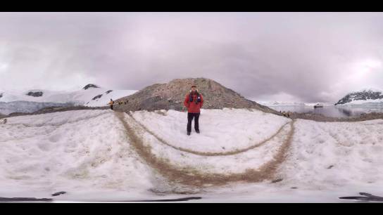 Penguinologist Dr. Tom Hart talks Gentoo penguins and their feeding habits (360° VR)
