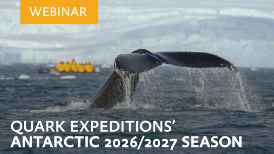 Antarctic Season 2026/2027 Launch – New Adventures: Whales, Camping & Science