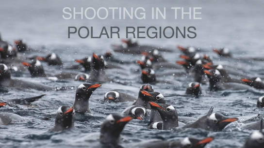 World Photography Day: Shooting in the Polar Regions