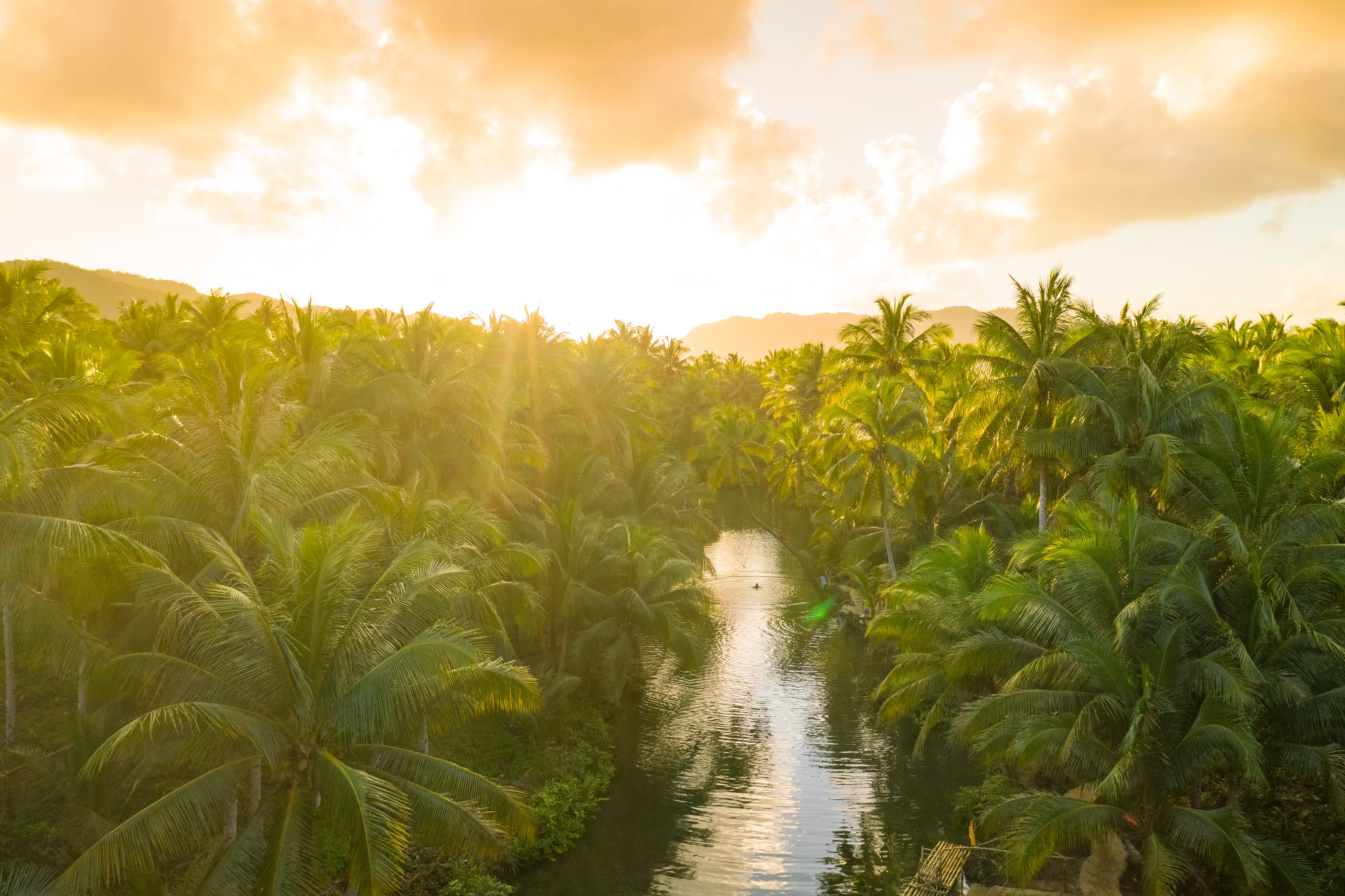 Amazon Rainforest Guide – 25 Fascinating Facts