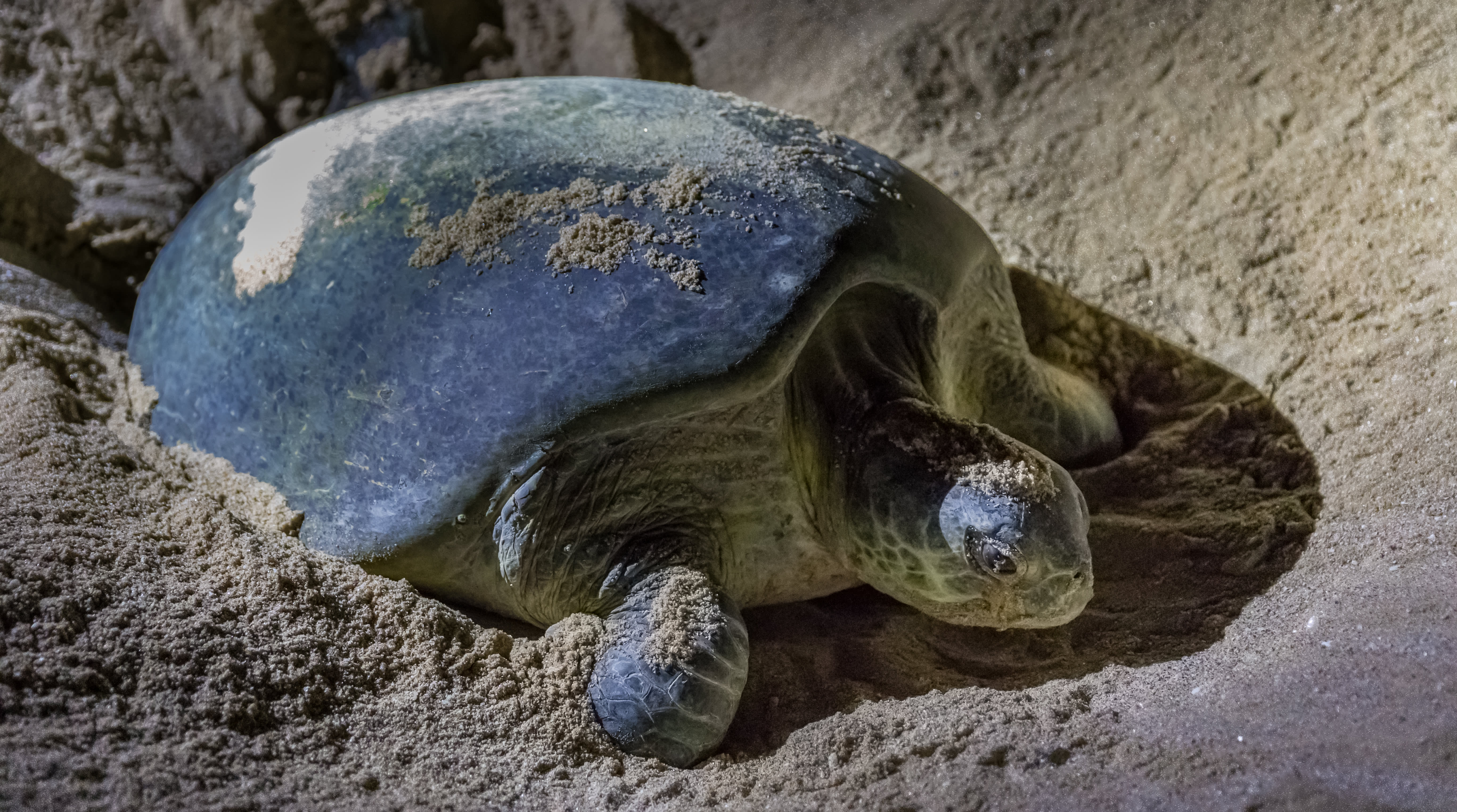 Explore the hidden natural wonders of Oman