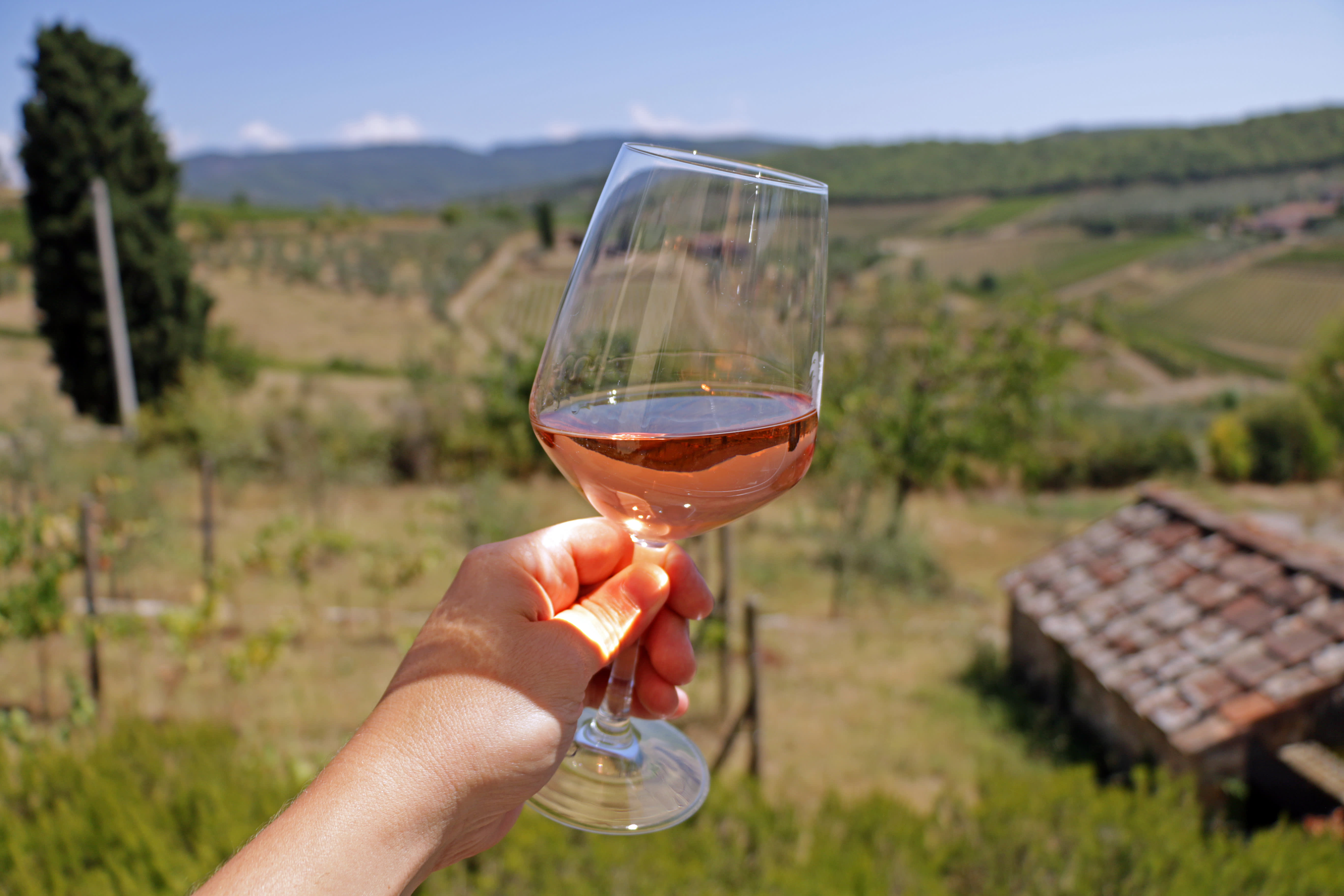Wine Tasting in San Gimignano, Italy 