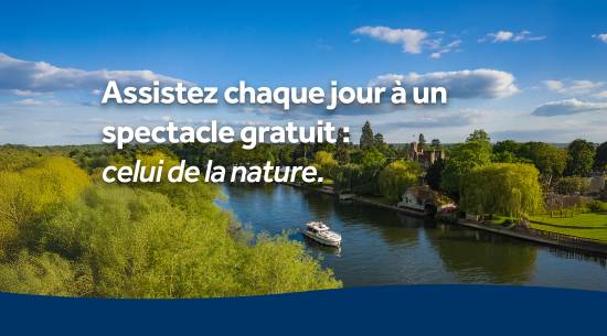Assistez chaque jour á un spectacle gratuit : celui de la nature