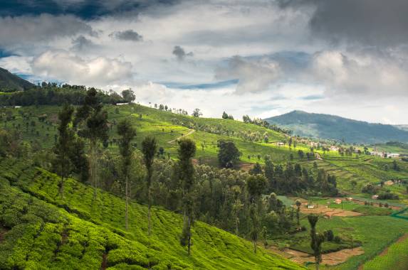 Cycle Kerala & Tropical India