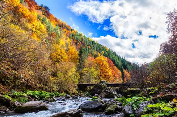 Bulgaria: Rodopi Mountains
