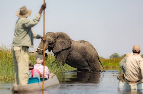 Botswana & Zimbabwe Lodge Safari