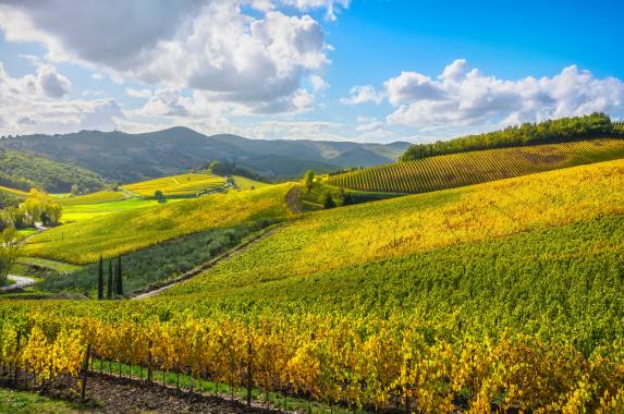 Tuscany Walks & Chianti Wines