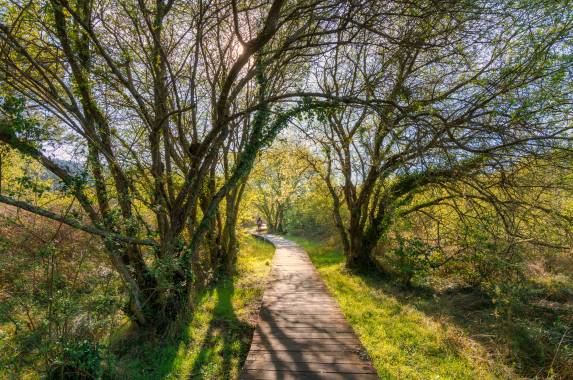 Camino de Santiago Trek