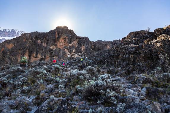 Kilimanjaro Climb – Lemosho Route