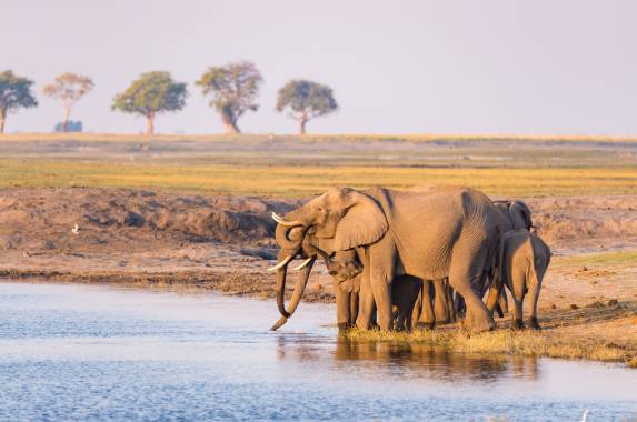 Botswana & Zimbabwe Lodge Safari