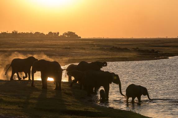 Wildlife & Wilderness of Botswana
