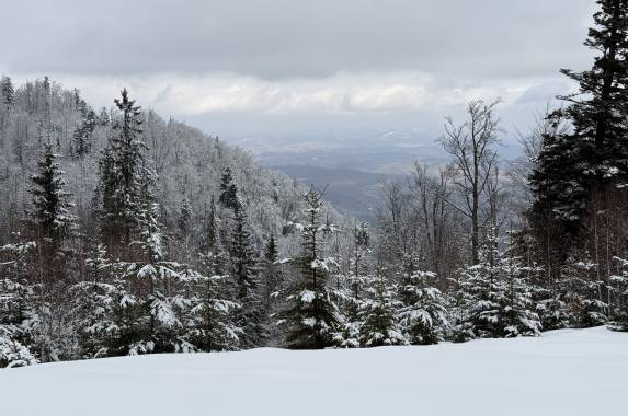 Transylvania Winter Walk & Snowshoe