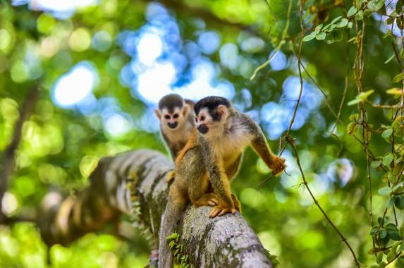Discover Costa Rica