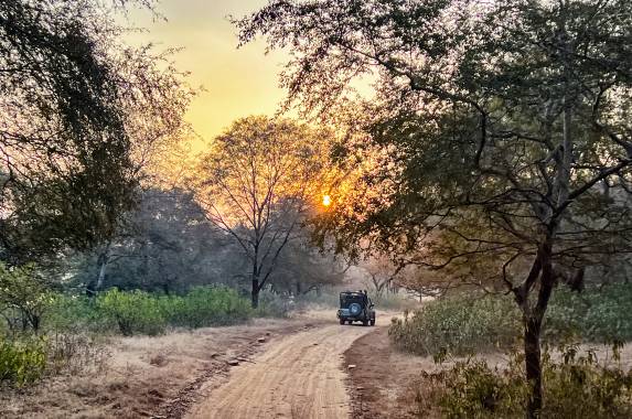 Colours of Rajasthan