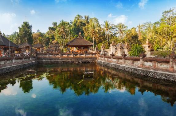 Primates & Dragons of Indonesia