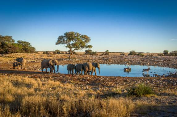 Discover Namibia – Camping