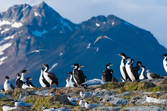 Patagonian Highlights