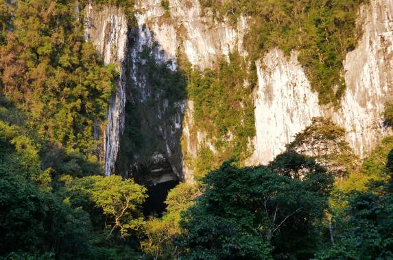 Borneo Wildlife Discoverer