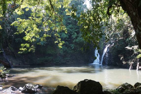Borneo Wildlife Discoverer