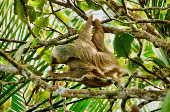 Costa Rica’s Coastal Secrets