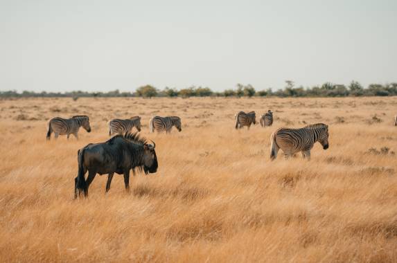 Cycle Namibia