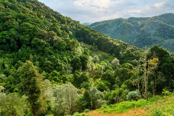 Costa Rica’s Coastal Secrets