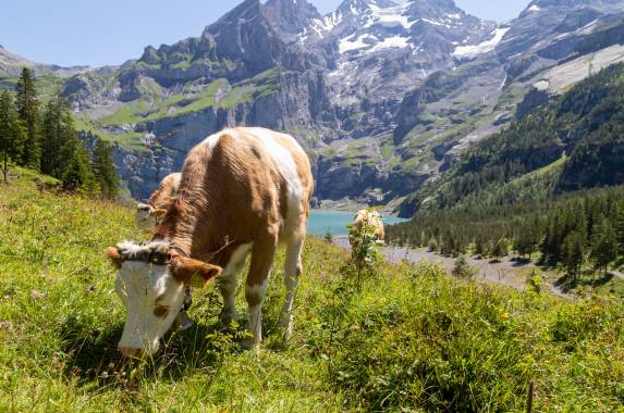 Oeschinensee