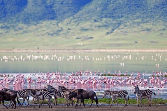 Ngorongoro Crater Floor