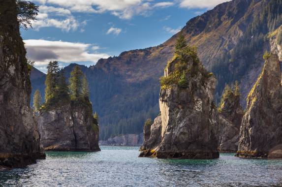 Alaska Wildlife & Wilderness