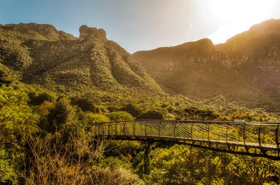 Cape Town and the Garden Route – Premium Adventure