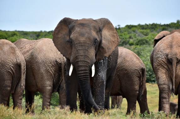 Cape Town and the Garden Route – Premium Adventure