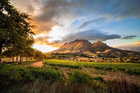 Stellenbosch