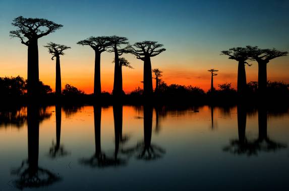 Madagascar Wildlife Adventure