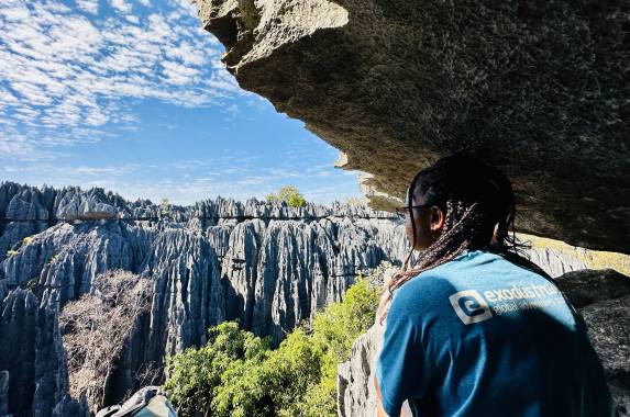 Madagascan Discoverer