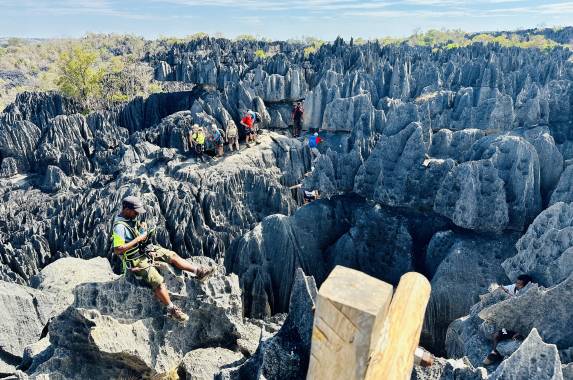 Madagascar Wildlife Adventure