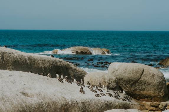 Cape Town and the Garden Route – Premium Adventure