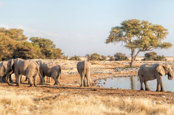 Discover Namibia – Premium Adventure