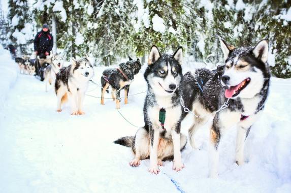 Finland Family Winter Adventure