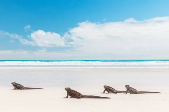 Highlights of Ecuador & the Galapagos