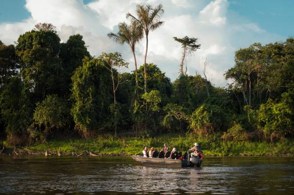 Amazon Rainforest Add-on Tour (from Cuzco)