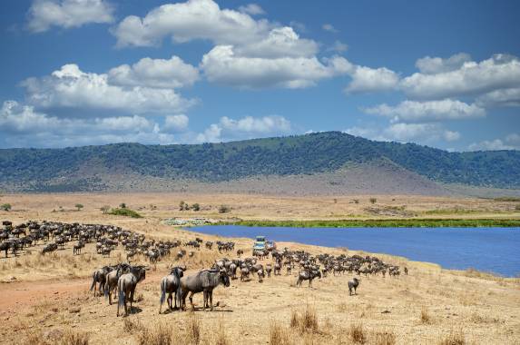Safari Add-on Tour after Rongai Route