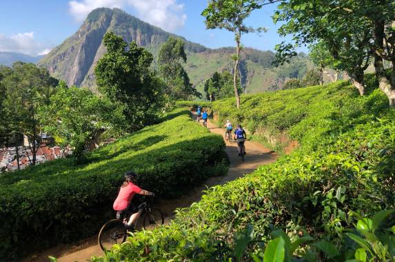 Spring into Cycling Adventures
