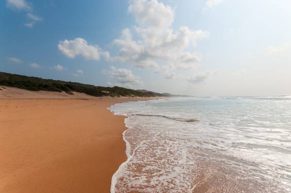 Southern Africa Safari: Kruger & Coast
