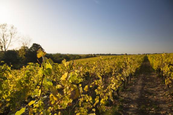 Vouvray