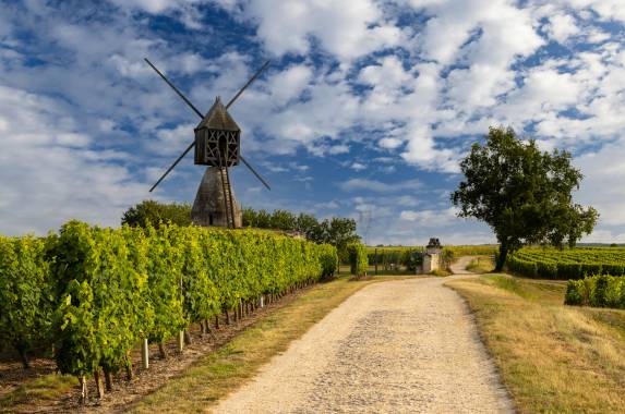 Cycle the Loire Valley