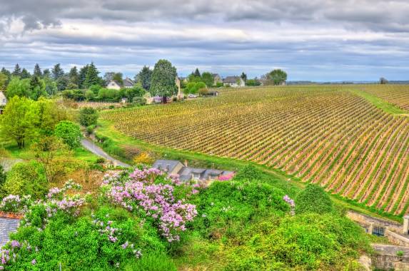 Cycle the Loire Valley