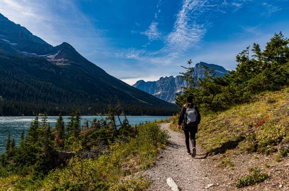 Yellowstone Walks & Wildlife